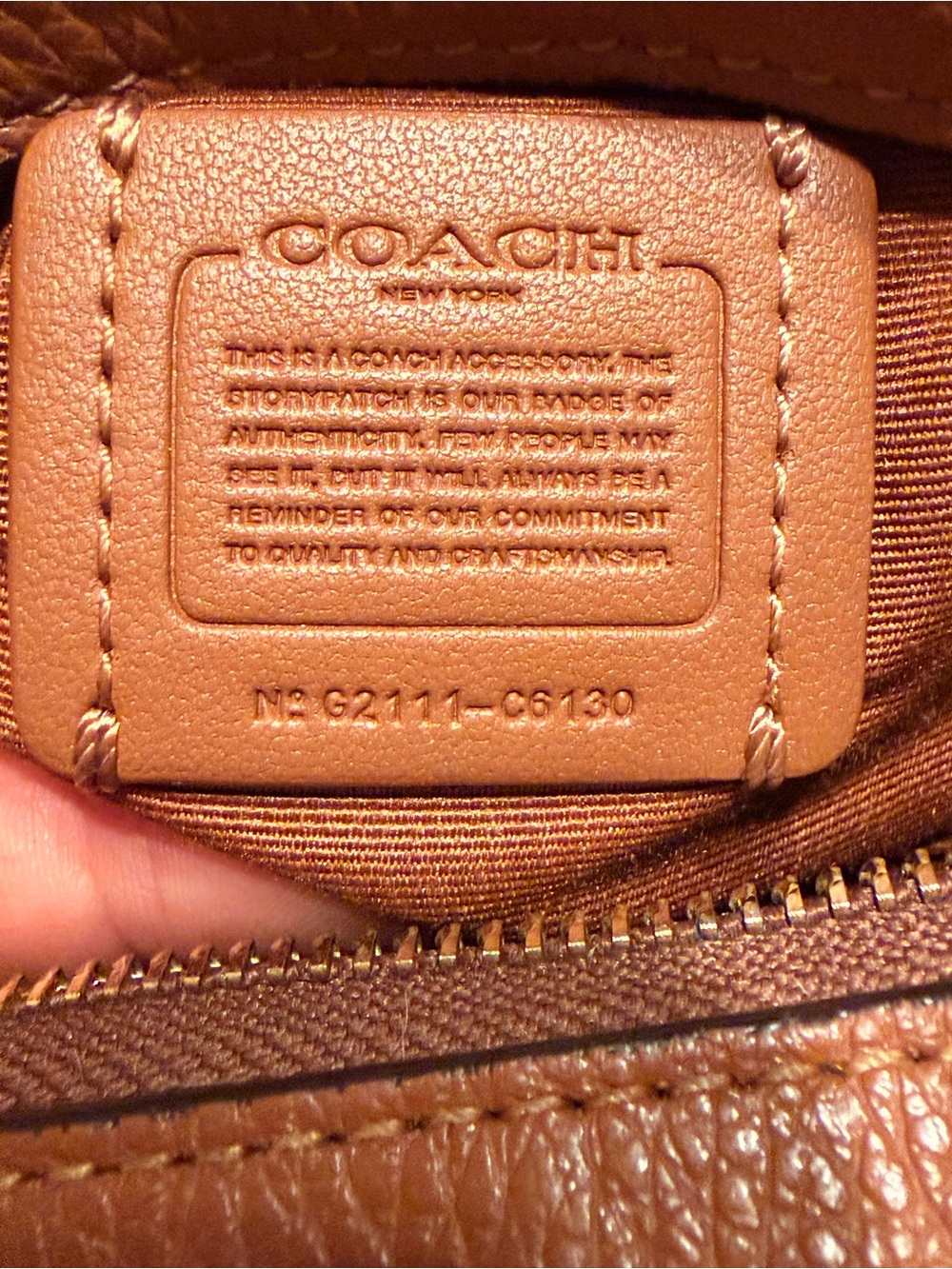 Coach Brown Signature Stripe Crossbody Camera Bag - Picture 2 of 10
